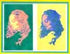 Anothr Warhol-inspired Davinci Woman.