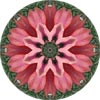 View another mandala created from a photograph of fall leaves.