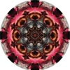 A mandala made from a photo of fall leaves.
