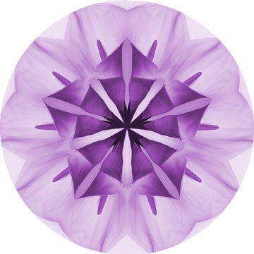 This flower mandala creates a whole new flower.