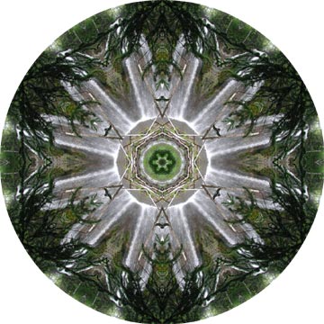 Spearfish Falls mandala.